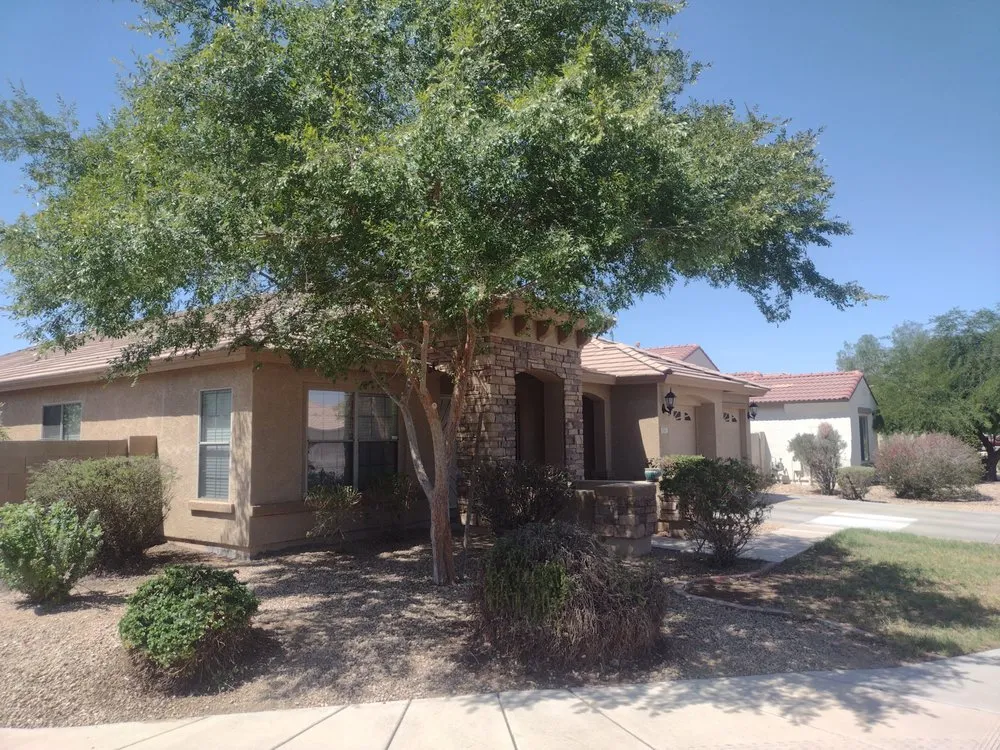 Expert lawn care service in Tolleson, AZ - Javier Services