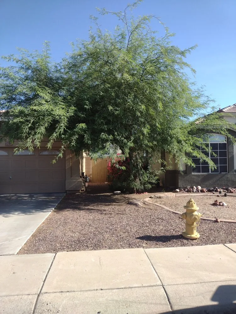 Top-rated yard maintenance near you across Tolleson, AZ - Javier Services
