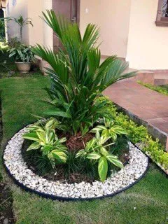 Local landscaping services for residential properties across Hollywood, FL - Javier Tree & Garden