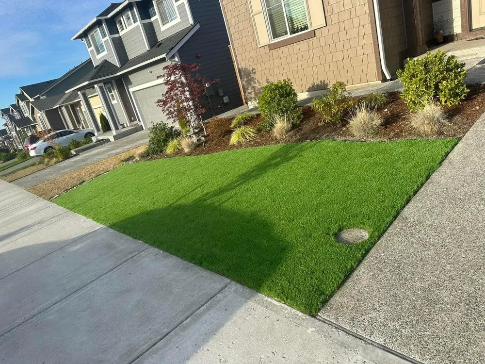 Expert landscaping services for outdoor upgrades across Hollywood, FL - Javier Tree & Garden