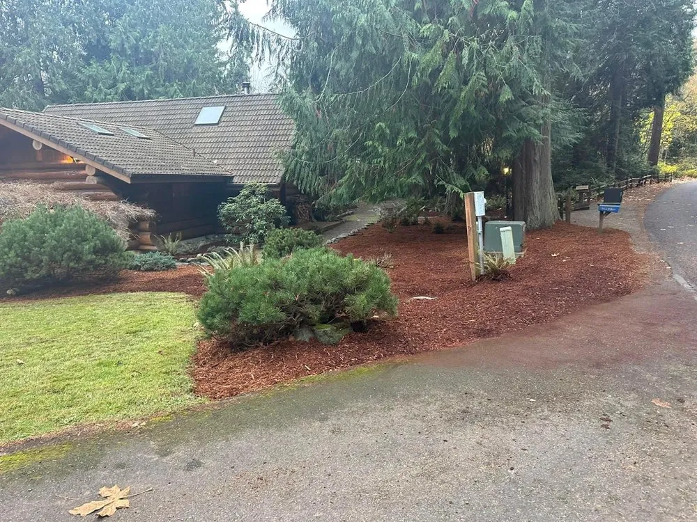 Custom outdoor landscaping in Hollywood, FL by Javier Tree & Garden