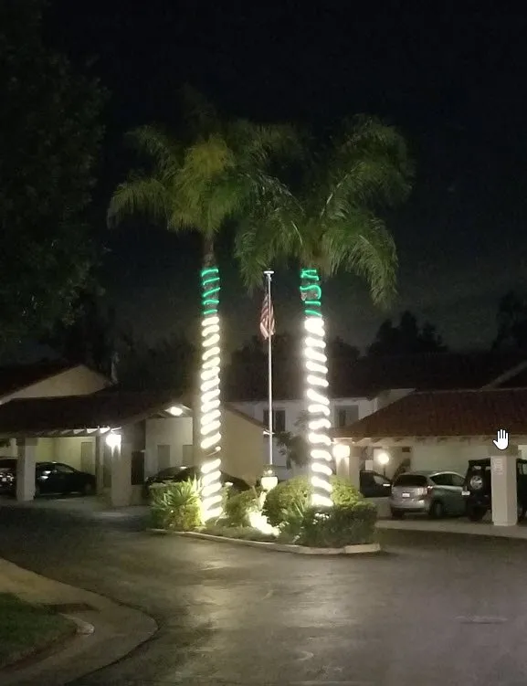 Affordable yard maintenance in San Marcos, CA by Javier Tree Services & Landscaping