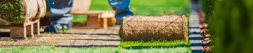 Affordable landscape installation near you across San Marcos, CA - Javier Tree Services & Landscaping