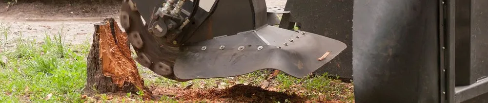 Local yard maintenance in San Marcos, CA by Javier Tree Services & Landscaping