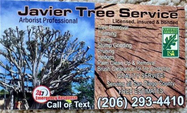 Local yard cleanup service in San Marcos, CA - Javier Tree Services & Landscaping