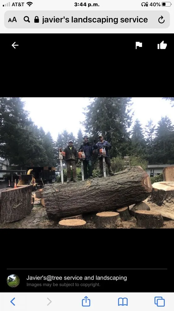 Trusted outdoor landscaping experts serving University Place, WA - Javier Tree Services & Landscaping