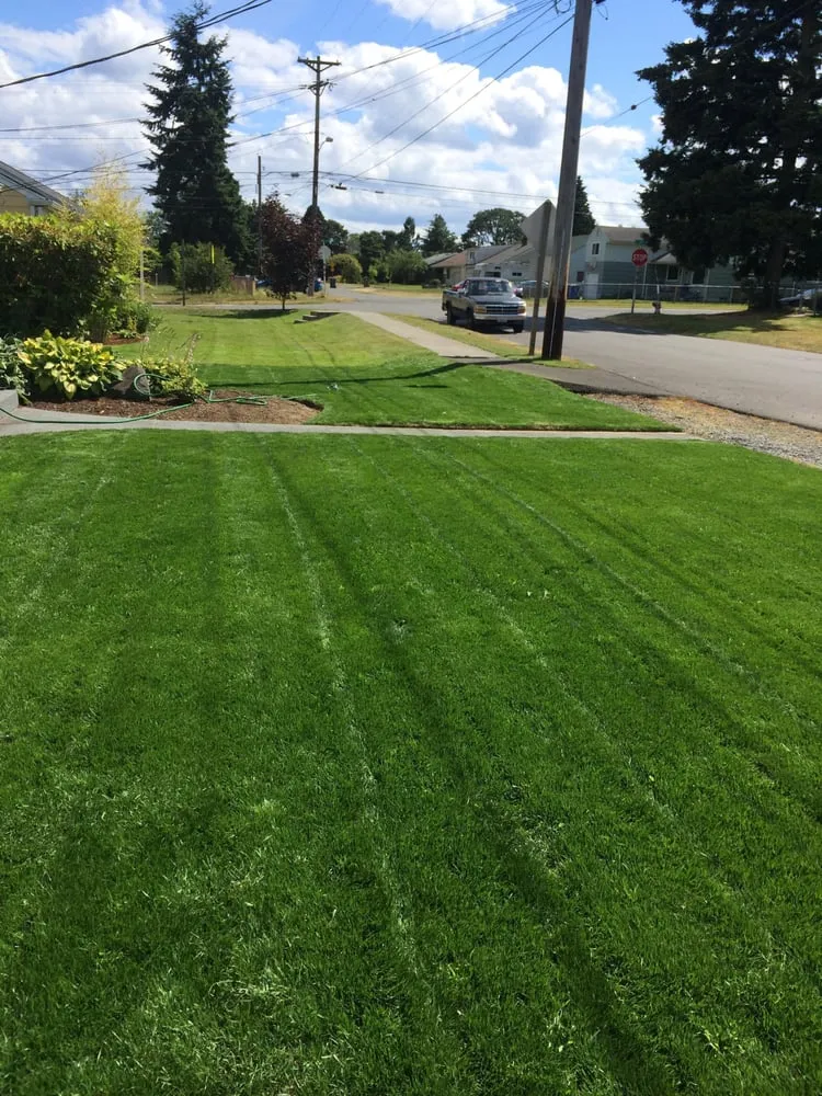 Affordable yard cleanup service with custom design in University Place, WA by Javier Tree Services & Landscaping