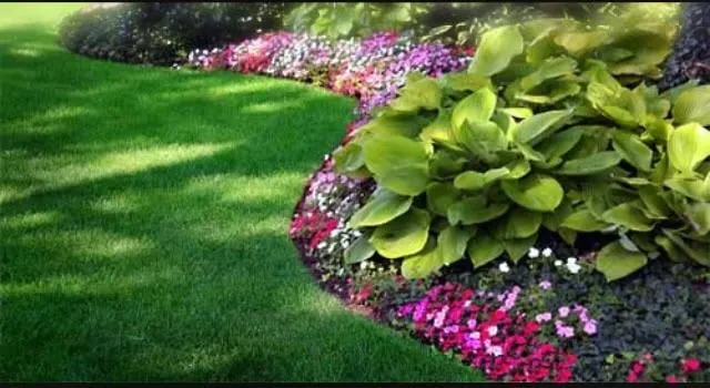 Expert lawn care service experts serving University Place, WA - Javier Tree Services & Landscaping