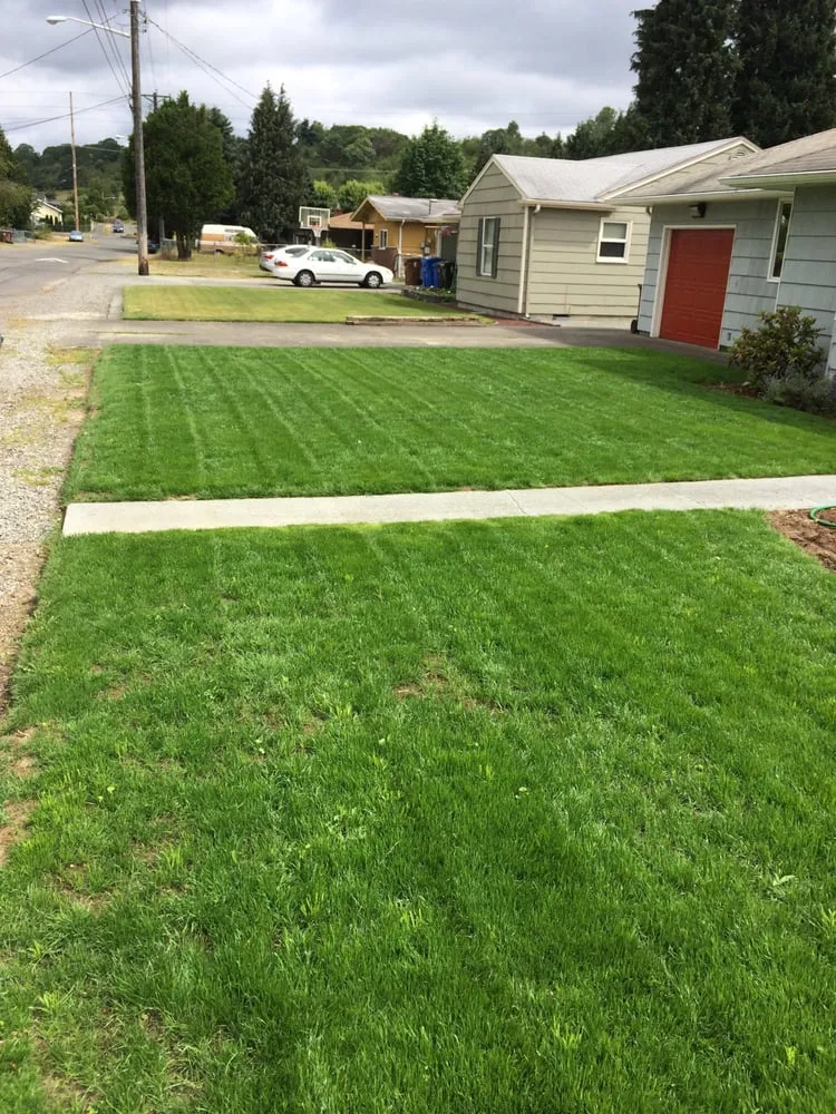 Expert outdoor landscaping for year-round maintenance in University Place, WA by Javier Tree Services & Landscaping
