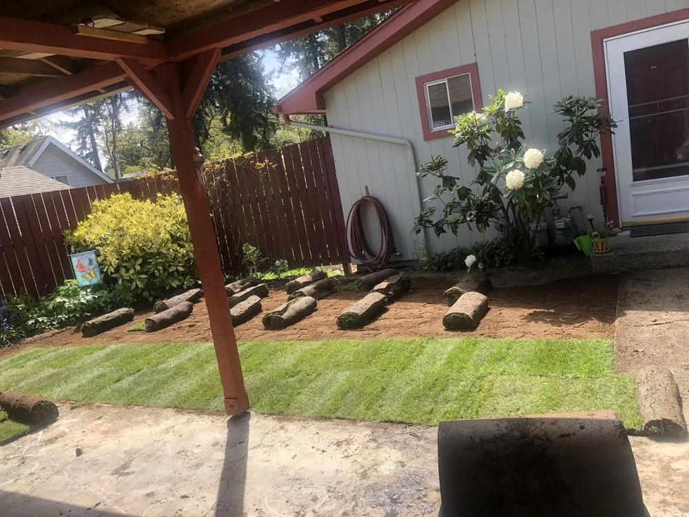 Trusted residential landscaping in University Place, WA - Javier Tree Services & Landscaping