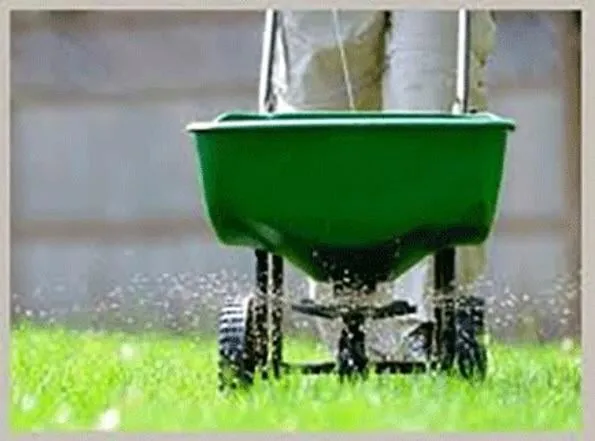 Top-rated landscape design in University Place, WA by Javier Tree Services & Landscaping