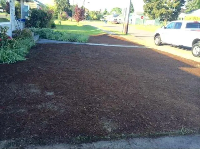 Professional garden landscaping for year-round maintenance across University Place, WA - Javier Tree Services & Landscaping