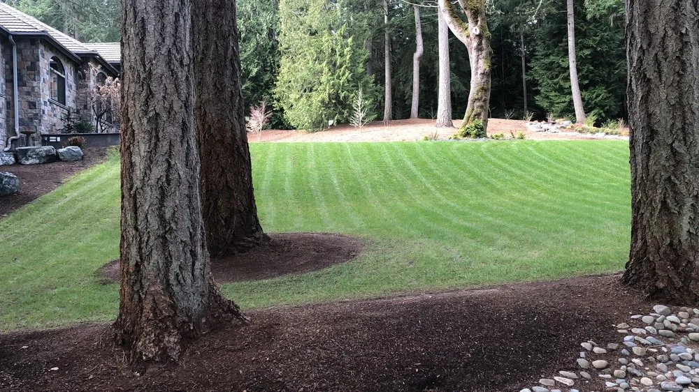 Affordable yard maintenance experts serving University Place, WA - Javier Tree Services & Landscaping