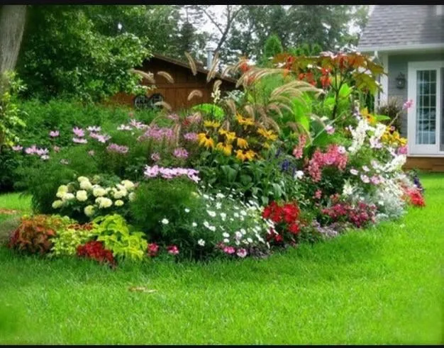 Affordable outdoor landscaping near you in University Place, WA by Javier Tree Services & Landscaping