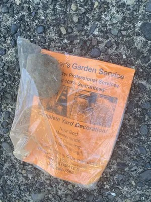 Javier Tree Services & Landscaping