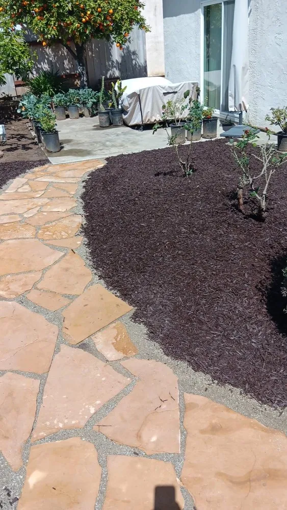 Trusted yard maintenance in Oceanside, CA by Javier’s Gardening