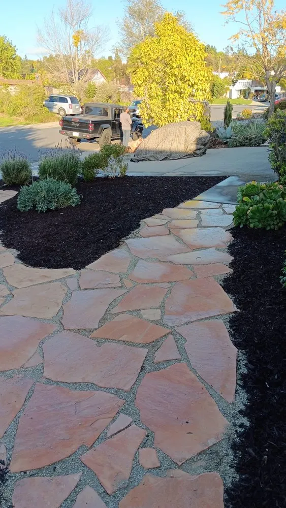 Trusted yard cleanup service in Oceanside, CA - Javier’s Gardening