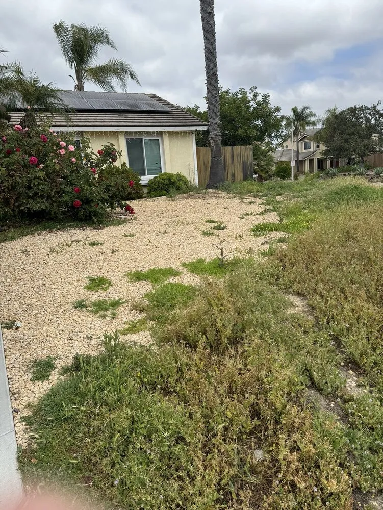 Trusted garden landscaping in Oceanside, CA - Javier’s Gardening