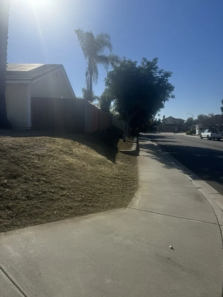Top-rated lawn mowing service near you in Oceanside, CA by Javier’s Gardening