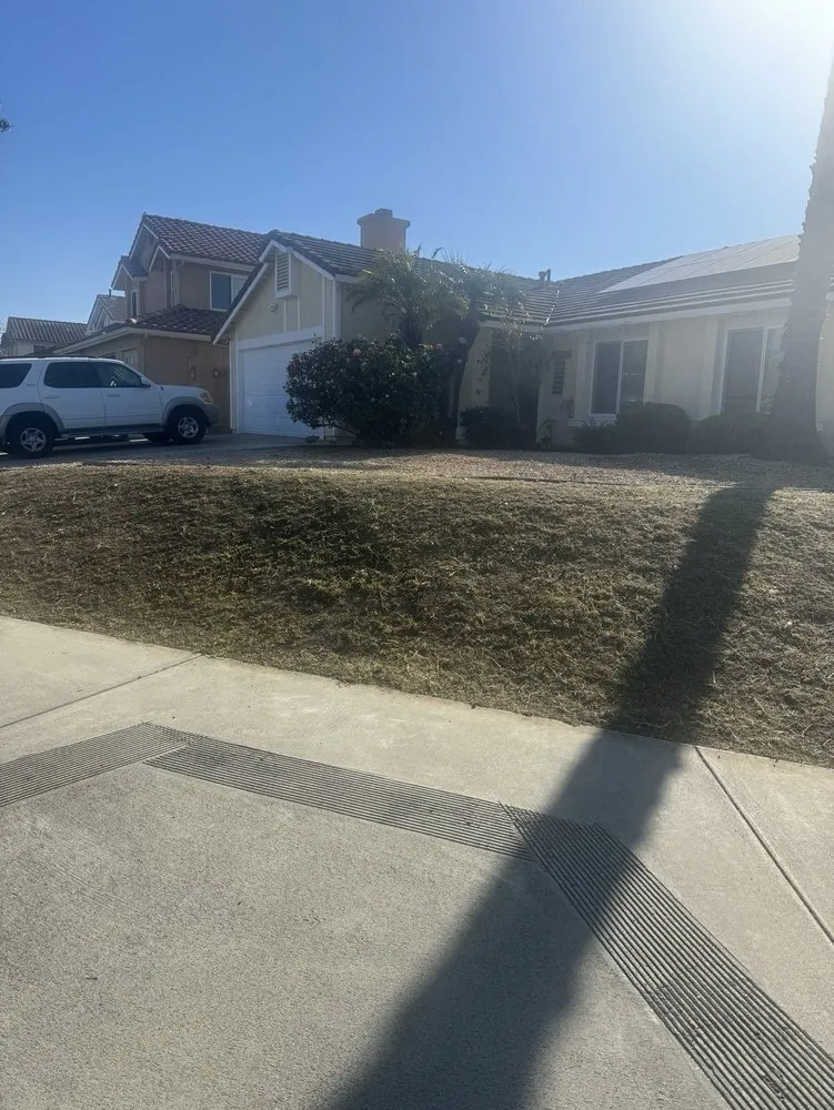 Expert yard cleanup service in Oceanside, CA - Javier’s Gardening