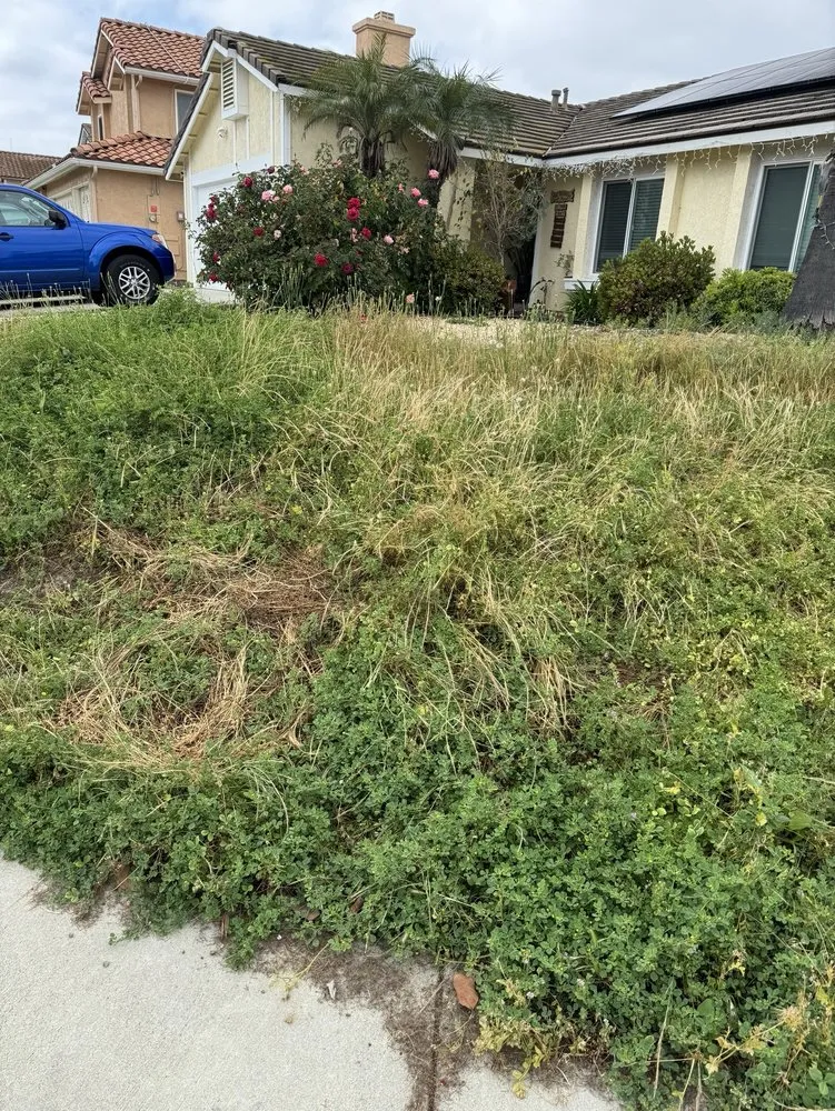 Local residential landscaping with custom design across Oceanside, CA - Javier’s Gardening