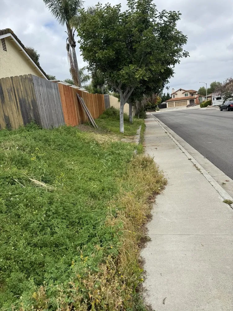 Reliable lawn care service experts serving Oceanside, CA - Javier’s Gardening