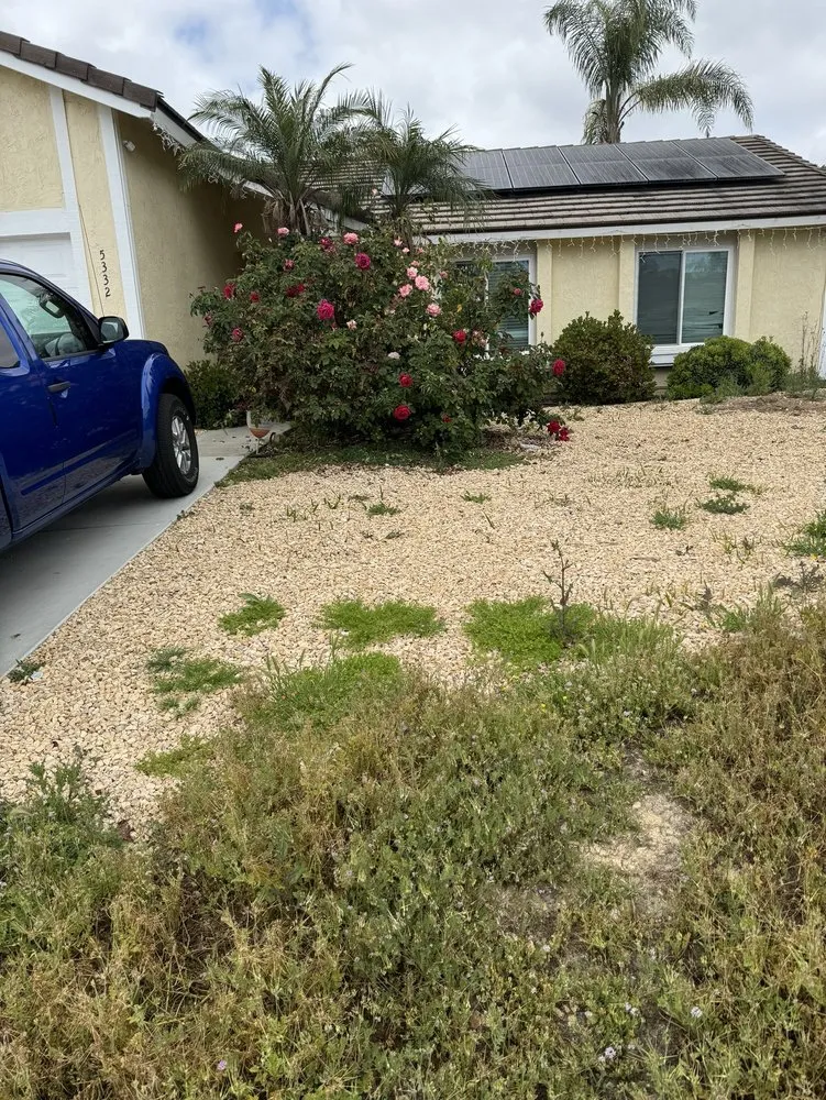 Professional garden landscaping in Oceanside, CA - Javier’s Gardening