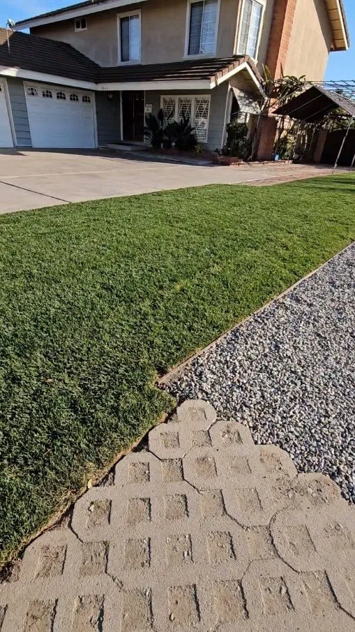 Expert residential landscaping in Huntington Beach, CA by Javier’s landscape