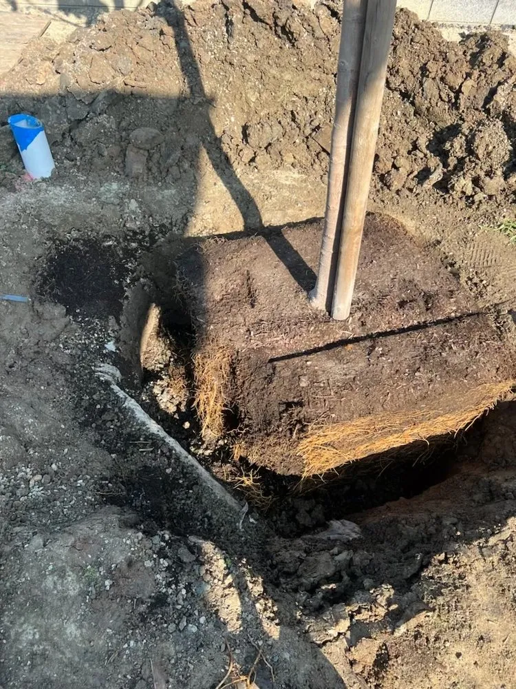 Local yard cleanup service in Huntington Beach, CA by Javier’s landscape