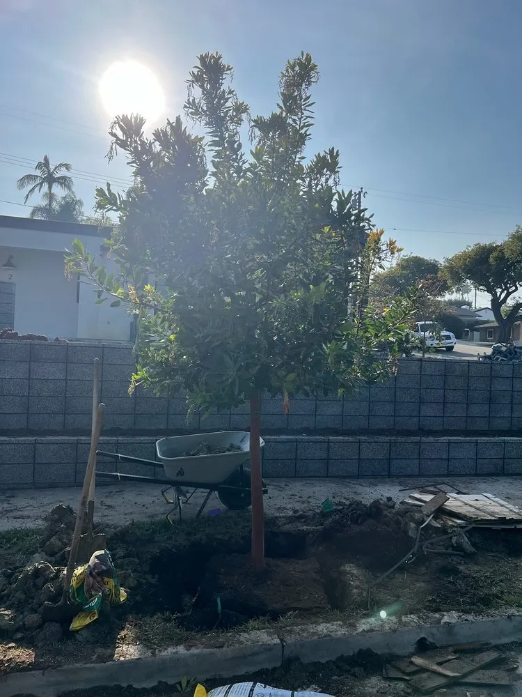 Top-rated residential landscaping in Huntington Beach, CA - Javier’s landscape