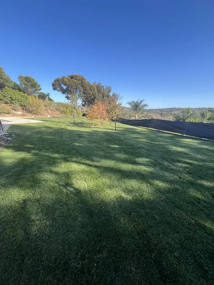 Professional outdoor landscaping for outdoor upgrades in Huntington Beach, CA by Javier’s landscape