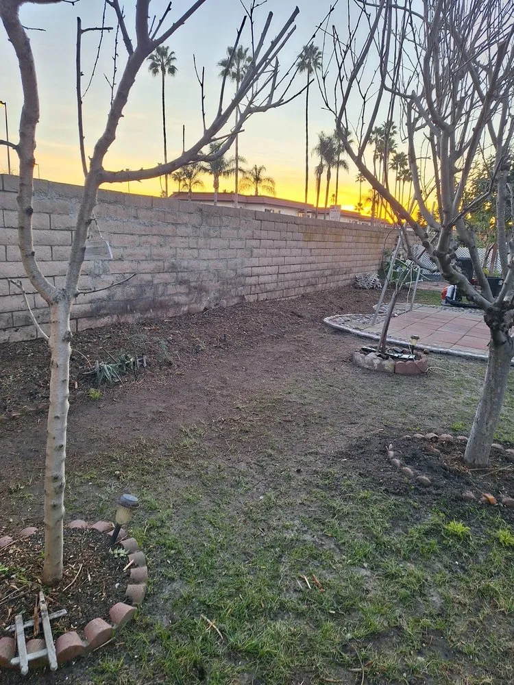 Local lawn care service experts serving Vista, CA - Javier’s Landscaping & Junk Removal