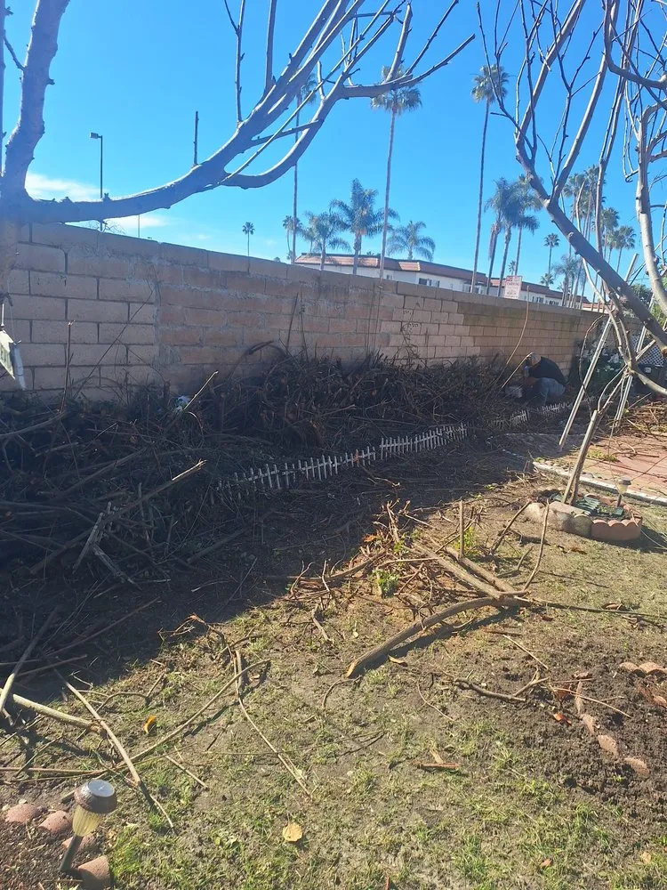 Local landscape design experts serving Vista, CA - Javier’s Landscaping & Junk Removal