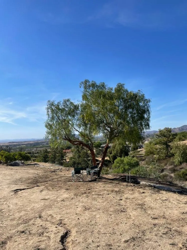 Professional outdoor landscaping for homes in Vista, CA by Javier’s Landscaping & Junk Removal