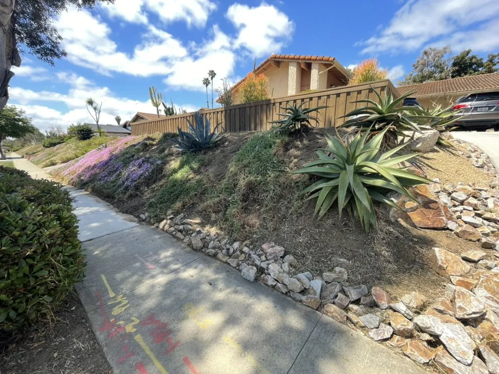 Top-rated yard cleanup service in Vista, CA by Javier’s Landscaping & Junk Removal