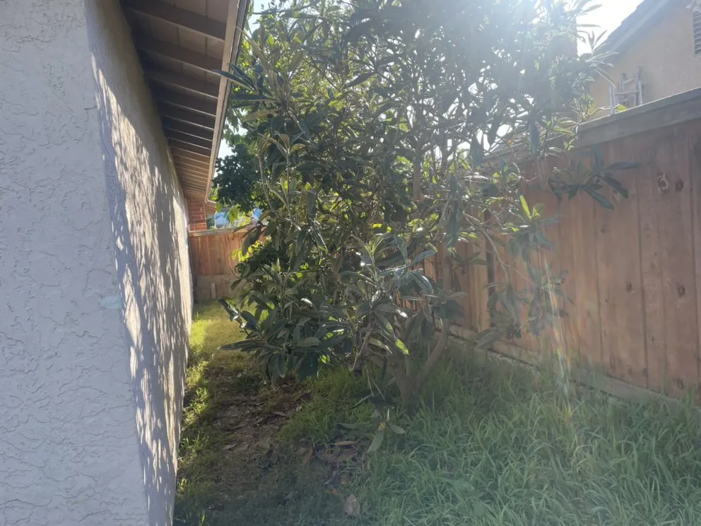 Affordable garden landscaping in Vista, CA - Javier’s Landscaping & Junk Removal