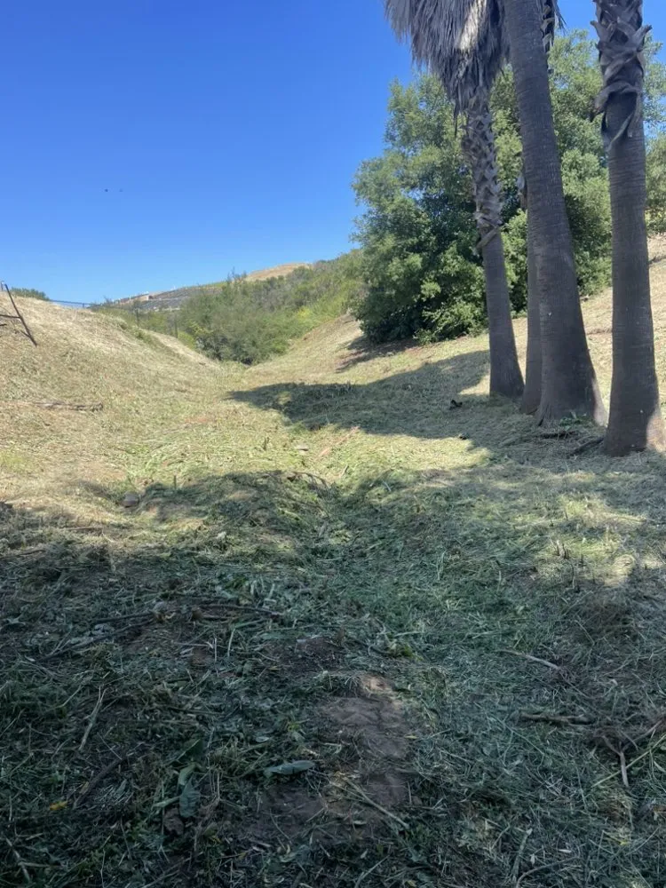 Professional outdoor landscaping for residential properties across Vista, CA - Javier’s Landscaping & Junk Removal