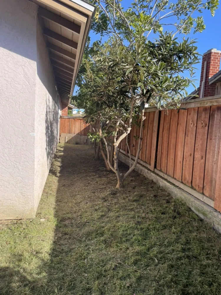 Custom landscape installation for year-round maintenance across Vista, CA - Javier’s Landscaping & Junk Removal