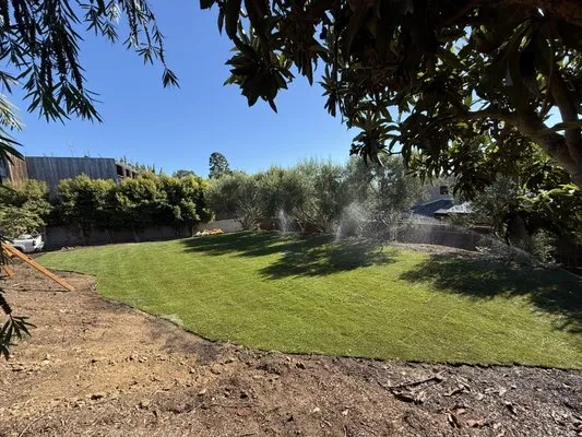 Javier’s Landscaping & Junk Removal Logo