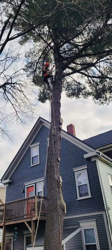 Local outdoor landscaping with custom design across Lynn, MA - Javier’s Landscaping & Tree Services