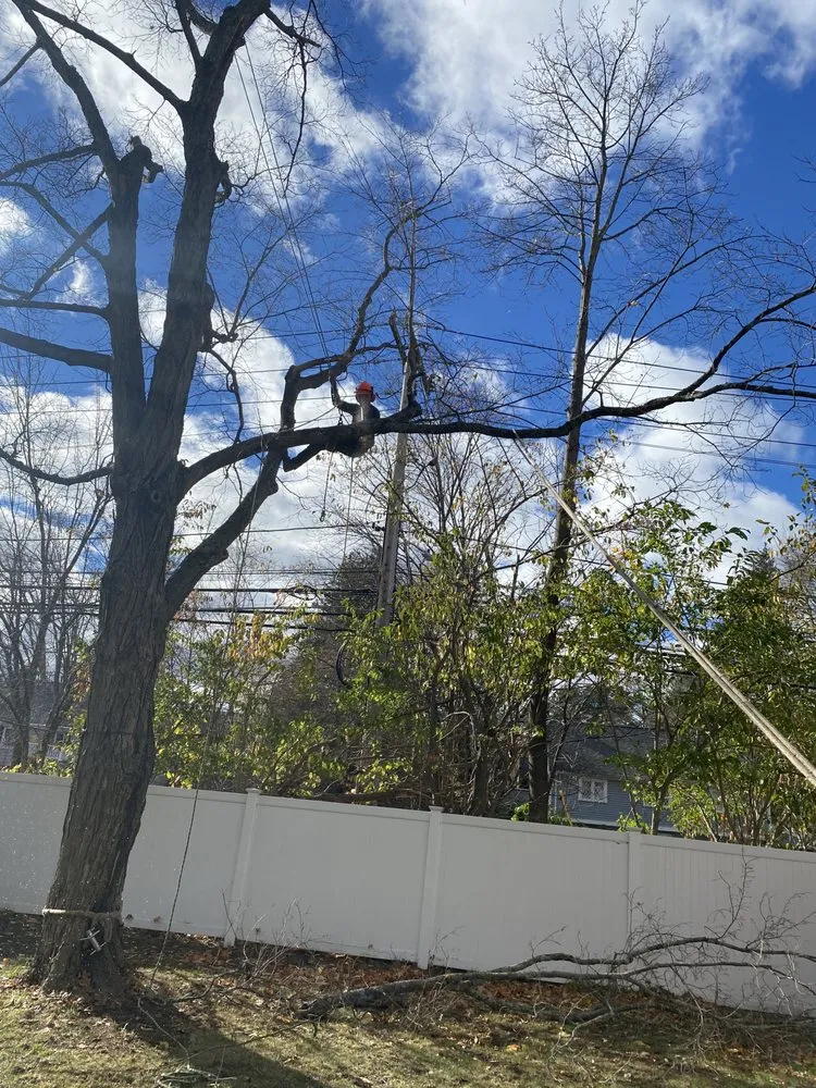 Professional garden landscaping for beautiful yards in Lynn, MA by Javier’s Landscaping & Tree Services