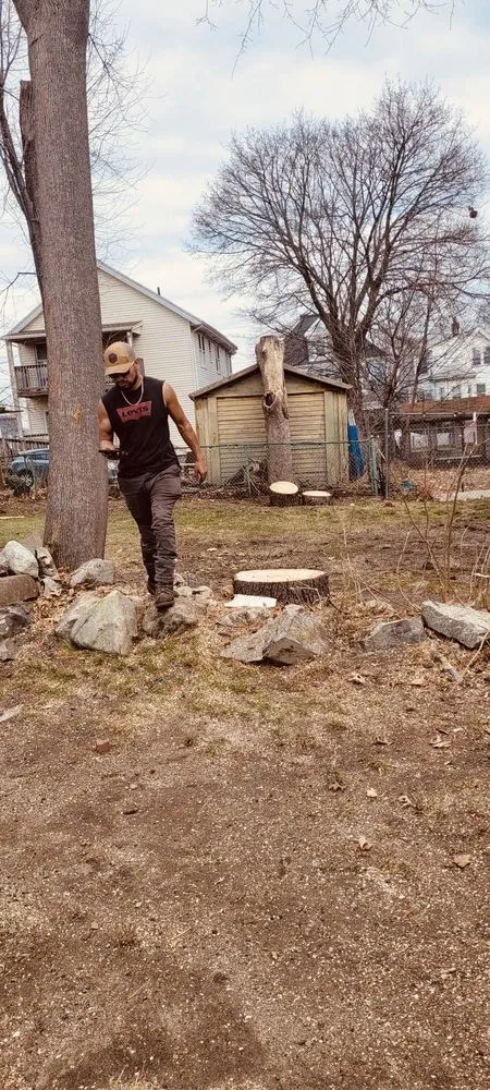 Professional garden landscaping in Lynn, MA by Javier’s Landscaping & Tree Services