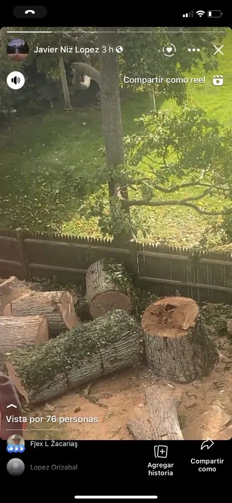 Reliable lawn mowing service for year-round maintenance across Lynn, MA - Javier’s Landscaping & Tree Services