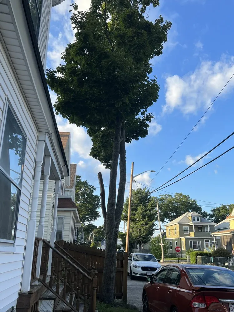 Expert lawn mowing service in Lynn, MA - Javier’s Landscaping & Tree Services