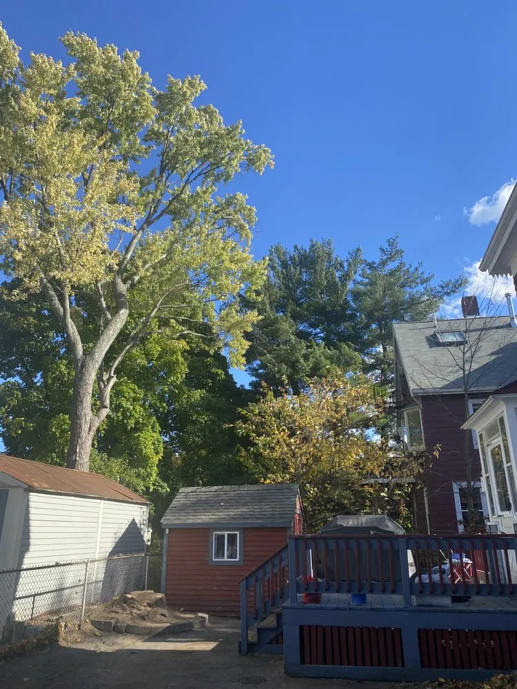 Trusted yard maintenance in Lynn, MA - Javier’s Landscaping & Tree Services