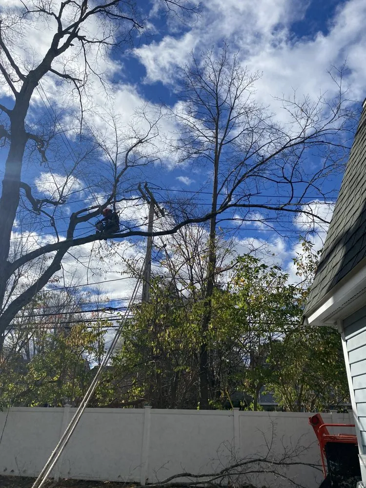 Top-rated residential landscaping in Lynn, MA by Javier’s Landscaping & Tree Services