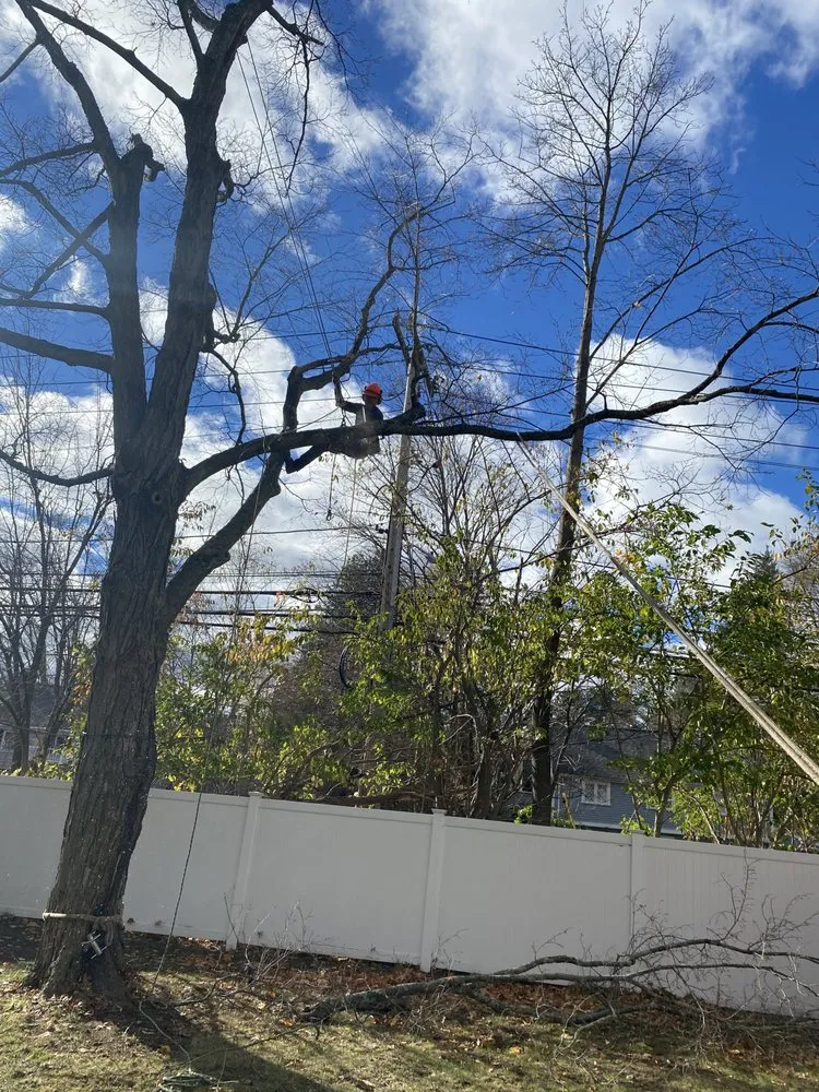 Local outdoor landscaping experts serving Lynn, MA - Javier’s Landscaping & Tree Services