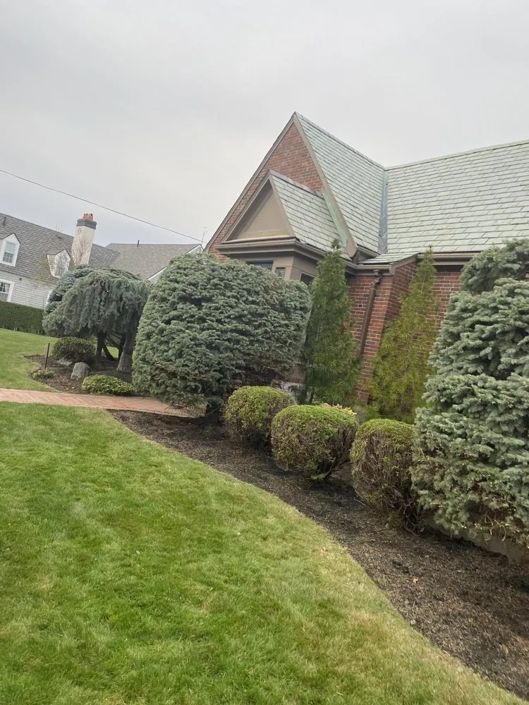 Expert yard cleanup service experts serving Lynn, MA - Javier’s Landscaping & Tree Services