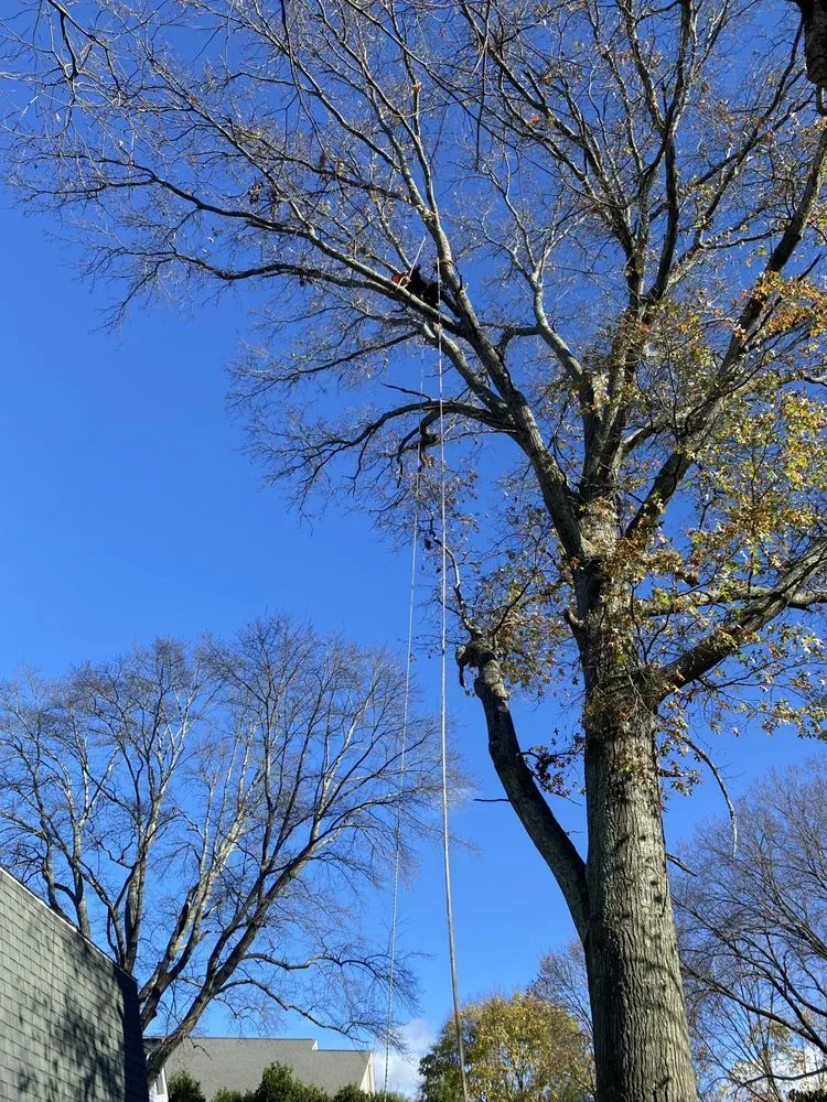 Professional garden landscaping experts serving Lynn, MA - Javier’s Landscaping & Tree Services