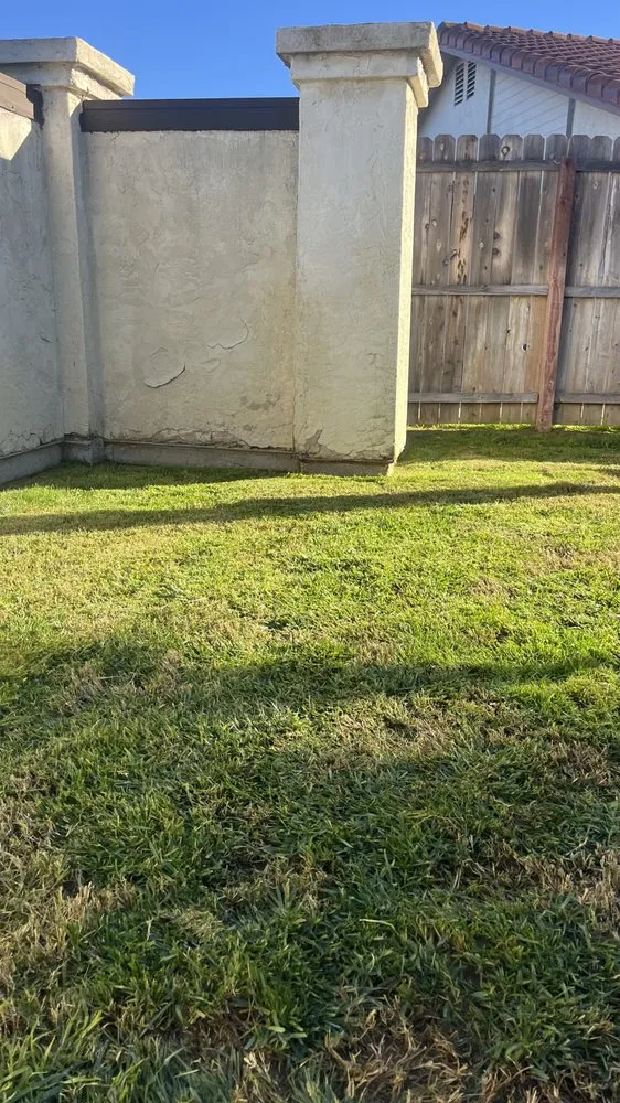 Reliable lawn mowing service near you in Vista, CA by Javier’s Landscaping